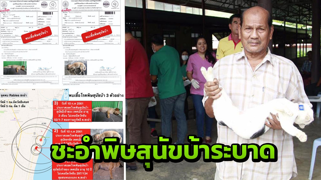 ประกาศ อ.ชะอำเป็นเขตโรคระบาดชั่วคราว หลังพบสุนัขติดเชื้อพิษสุนัขบ้า