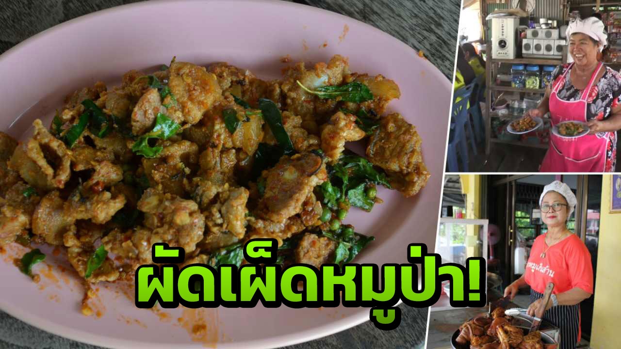 เมนูนี้ต้องมา ผัดเผ็ดหมูป่า! คนไทยดีใจ ฉลองใหญ่ทั่วประเทศ 