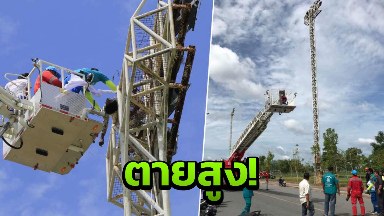 โจ๋ตรังตายสูง ปีนตัดสายสปอตไลท์สนามกีฬา ถูกช็อตดับคายอดเสา
