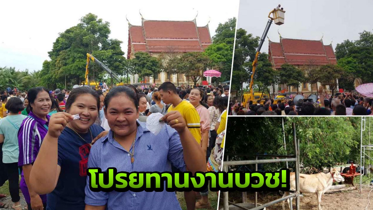 ฮือฮา งานบวชลูกเสี่ยสุพรรรณฯ โปรยทานคูปองแลกค่าไถ่ วัว-ควาย
