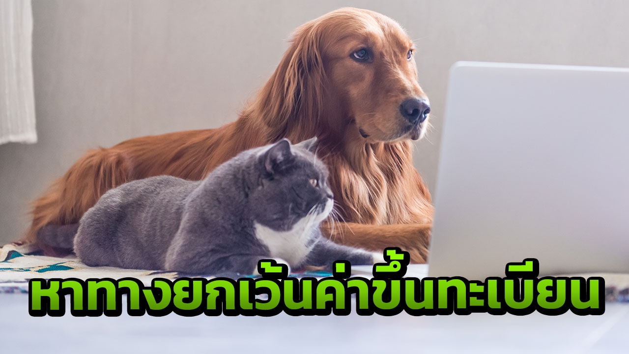 รัฐยืนยันหาทางยกเว้นค่าขึ้นทะเบียนสัตว์เลี้ยง
