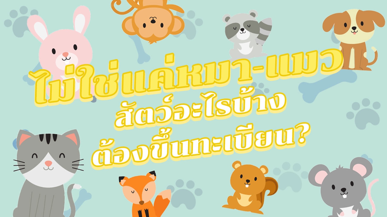 ถ้ากฎหมายผ่าน! สัตว์เลี้ยงใดบ้างต้องขึ้นทะเบียน ไม่ได้แค่หมา-แมว
