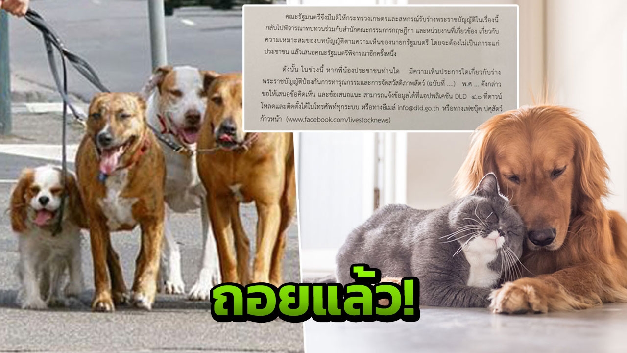 ด่วน! รัฐถอย ถอนกฎหมายขึ้นทะเบียนหมา-แมวแล้ว