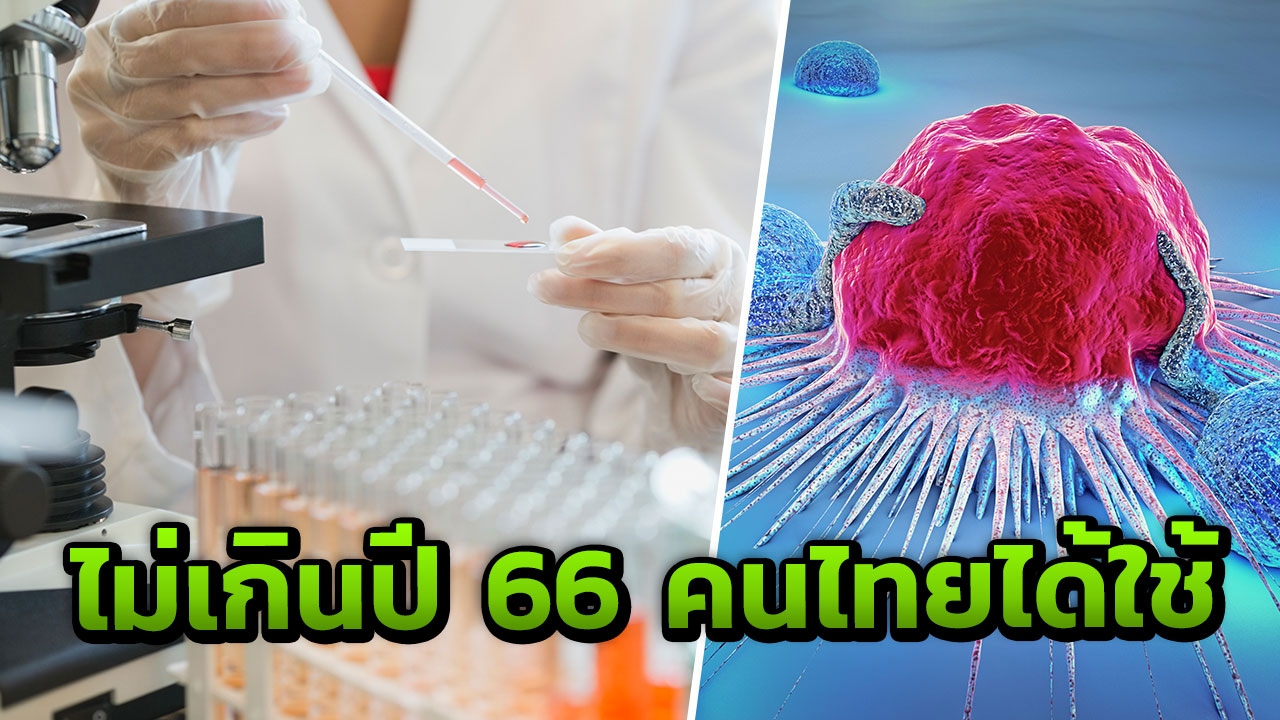 เร่งวิจัยยาต่อต้าน 'มะเร็ง' สร้างจากภูมิคุ้มกันมนุษย์ 