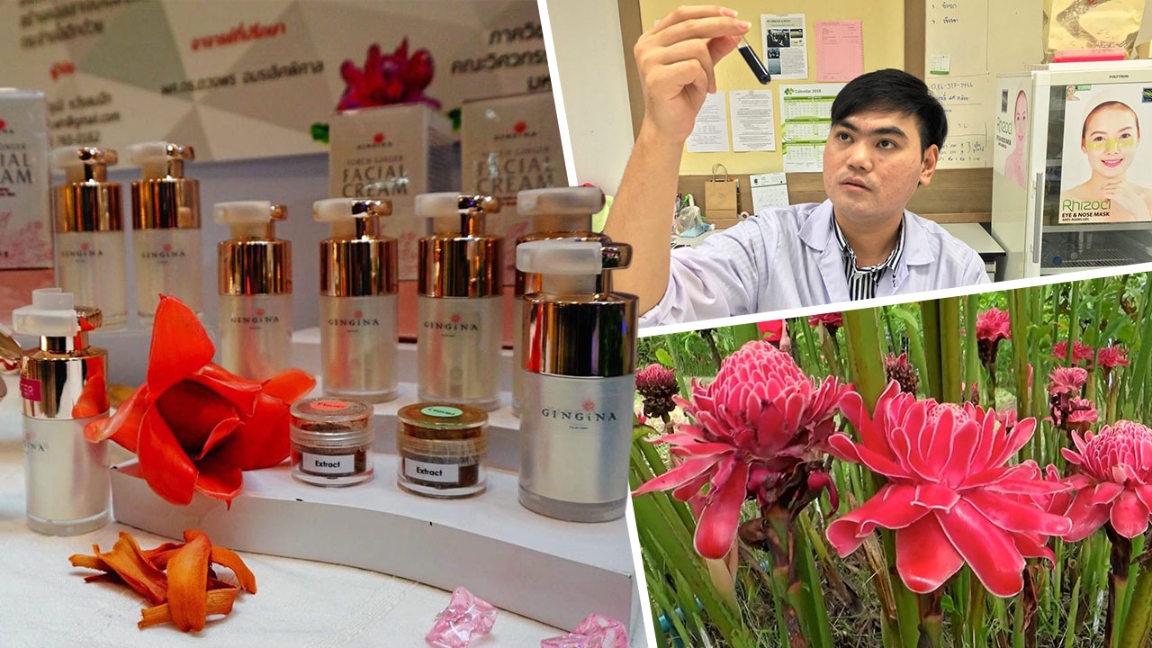 สกัดดอกใบดาหลา แก้ผิวเหี่ยว-ด้าน-ดำ
