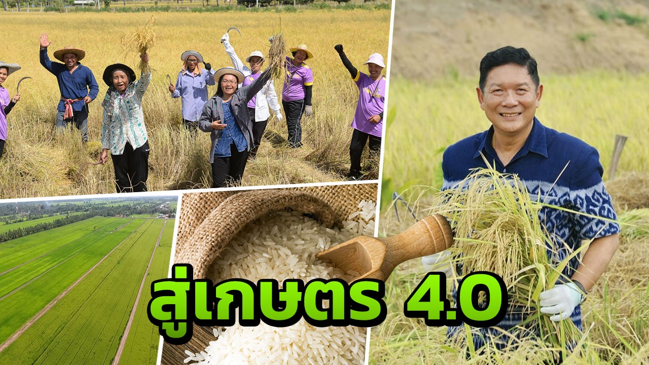 ก.เกษตรฯลุยทำแผนการผลิต การตลาดข้าวครบวงจร พัฒนาสู่เกษตร 4.0 