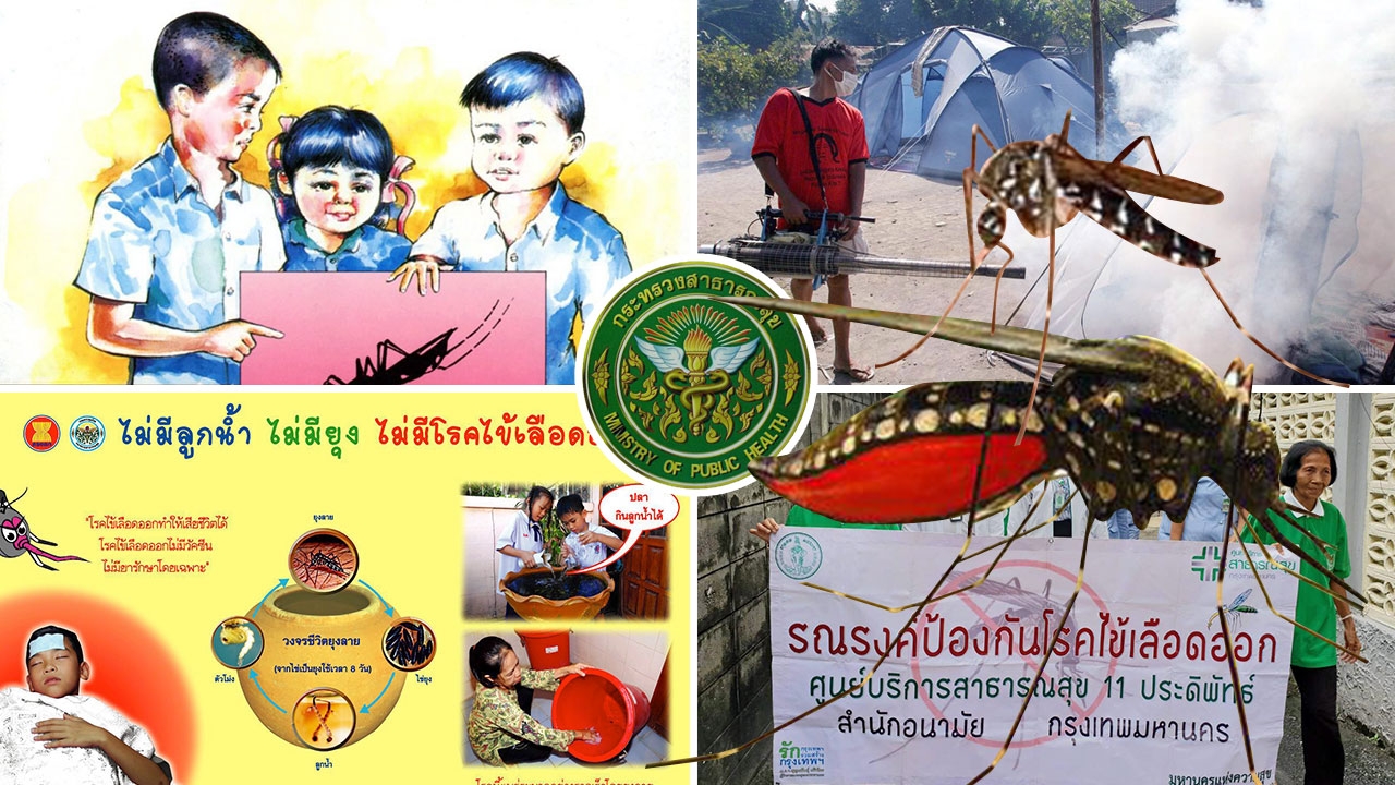 ระวังไข้เลือดออก ยุงร้ายกว่าเสือ