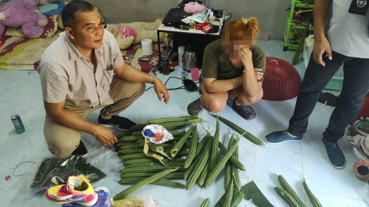 ตร.เกาะพะงันจับสาวหัวใส สั่งยาไอซ์ใส่ผลบวบลงเรือนอน ส่งขายลูกค้า
