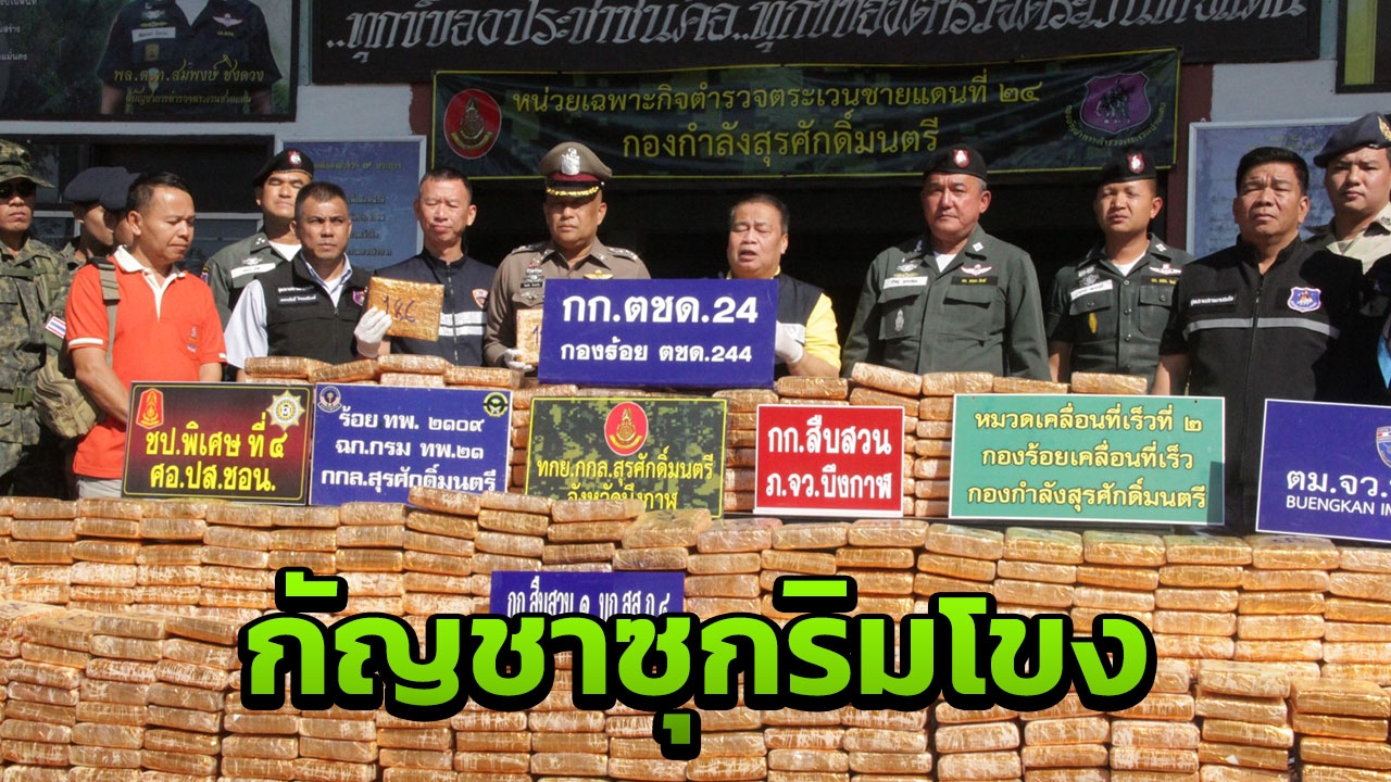 ตชด.244 ยึดกัญชาเกรดเอ ริมโขง 510 กก. มูลค่ากว่า 5 ล้านบาท
