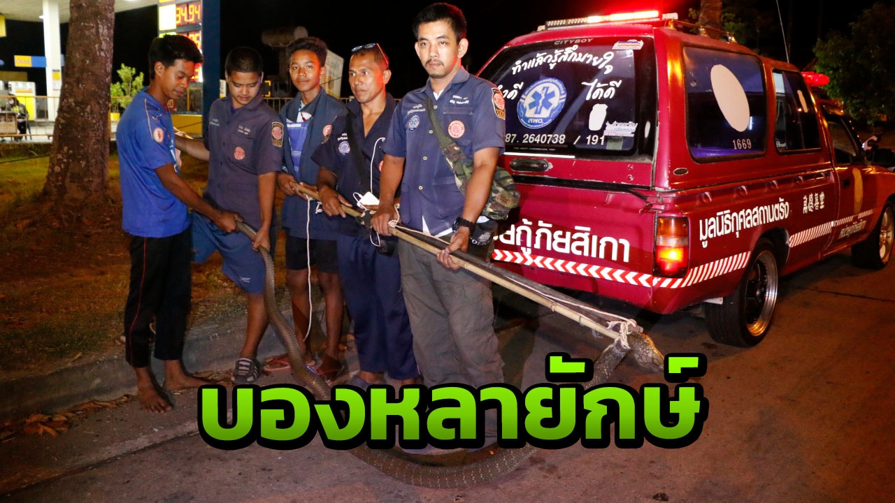 ผงะจงอางยักษ์ซุกตู้แอร์ ยาวเกือบ 4 ม. เผยพบตัวที่ 5 ในพื้นที่รอบปีนี้ 
