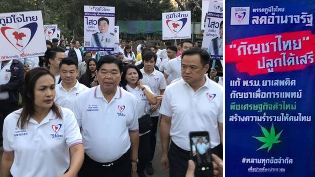 "ภูมิใจไทย" ขึ้นป้ายทั่วกรุง ดันปลูกกัญชาเสรี หนุนเป็นพืช ศก.