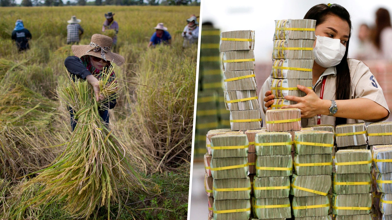 "นบข." อัดเงินช่วยชาวนา 5,000 ล้านบาท "ประยุทธ์" สั่งไล่เชือดคดีทุจริตข้าวด่วน