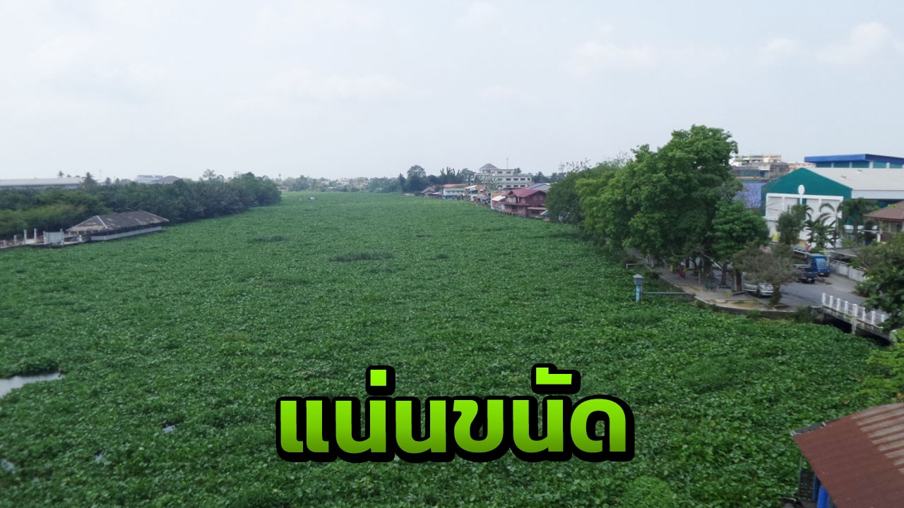ท่าจีนวิกฤติหนัก ผักตบชวาลอยเต็ม เรือติดกลางลำน้ำ 3วัน ไปไหนไม่ได้ 