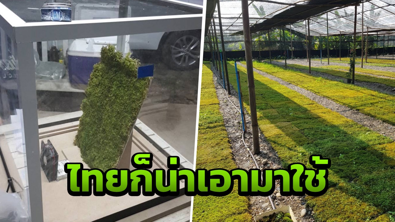 ไอเดียบรรเจิด เอา"มอส"ติดกับ"พัดลม"ดักฝุ่นPM2.5 ยัน ได้ผลดี