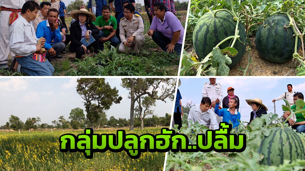 ชุมชนเกษตร"ปลูกฮัก"แจ๋ว ต่อยอดเสริมรู้ อธิบดี พด.จนสินค้าถูกนำเข้าห้าง