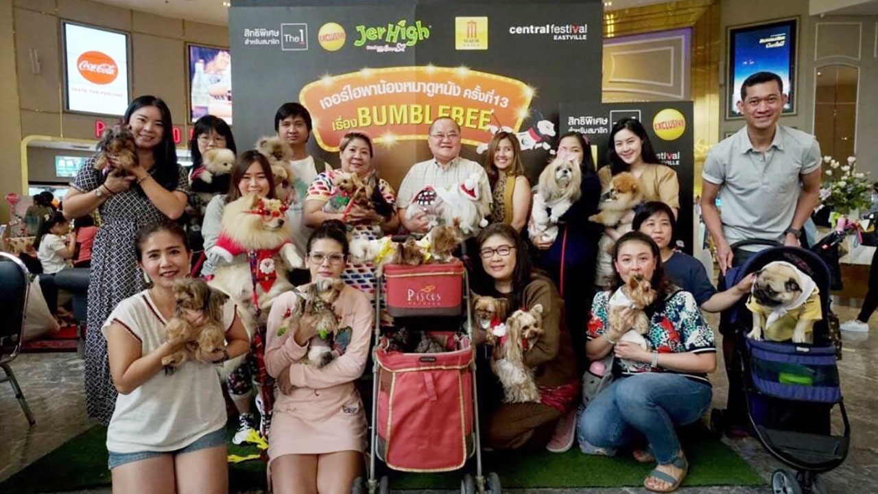 อาหารสุนัขเจอร์ไฮพาน้องหมาดูหนัง ครั้งที่ 13