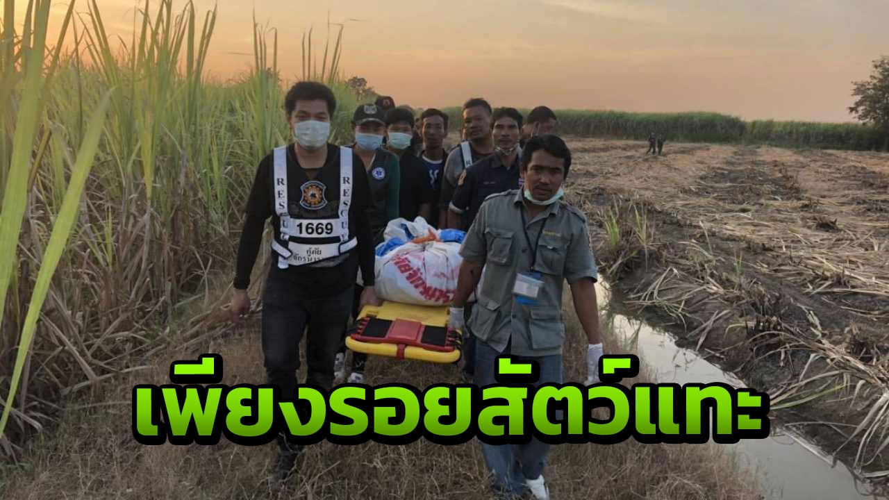 ผลผ่าศพสอดคล้อง "น้องต้าแง" ไร้ร่องรอยถูกทำร้าย ไม่เป็นโปลิโอ