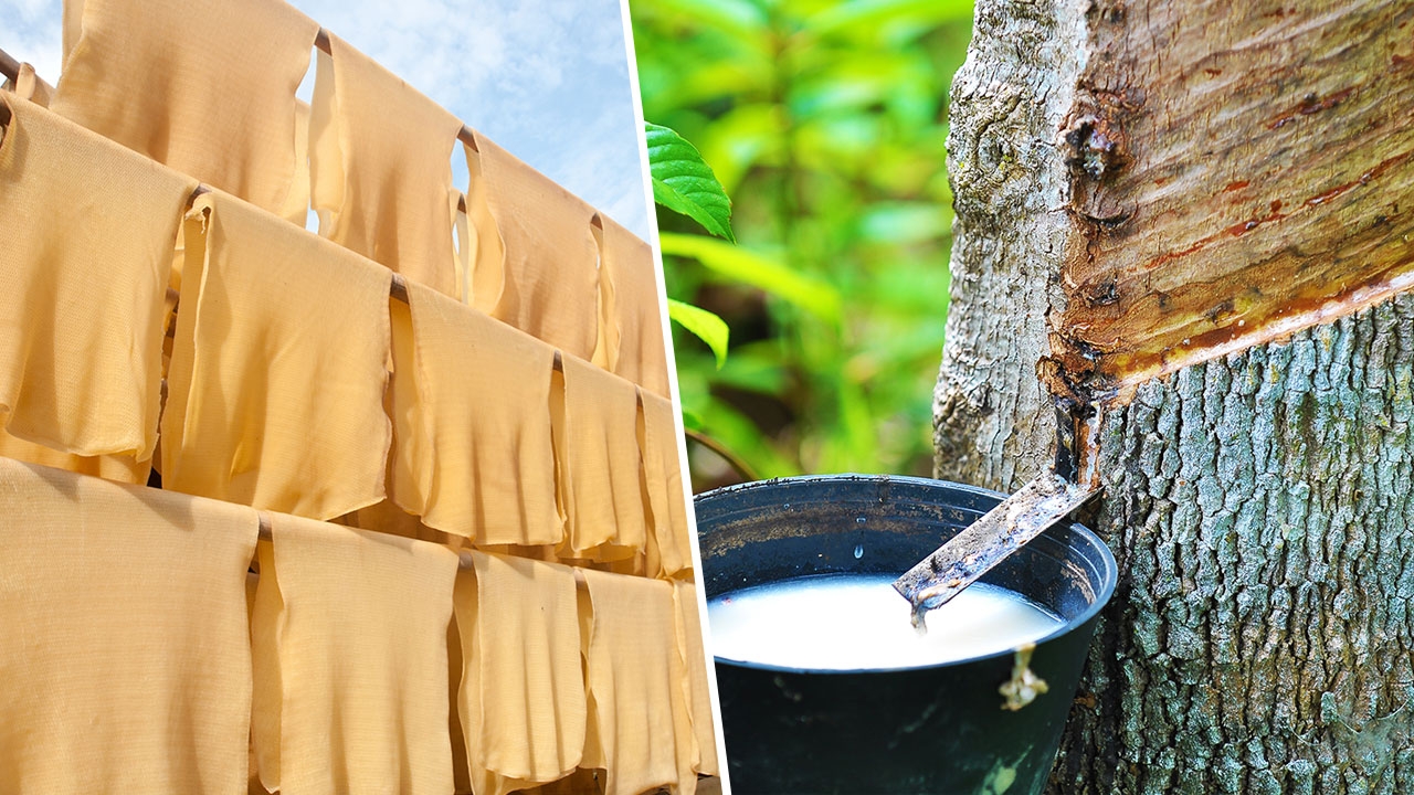 ทีดีอาร์ไอชี้หมดยุคราคายางแพง