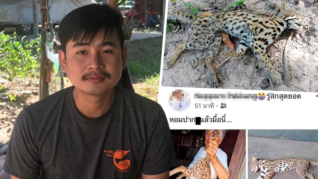 จับแล้ว...หนุ่มโชว์ซากเสือปลา