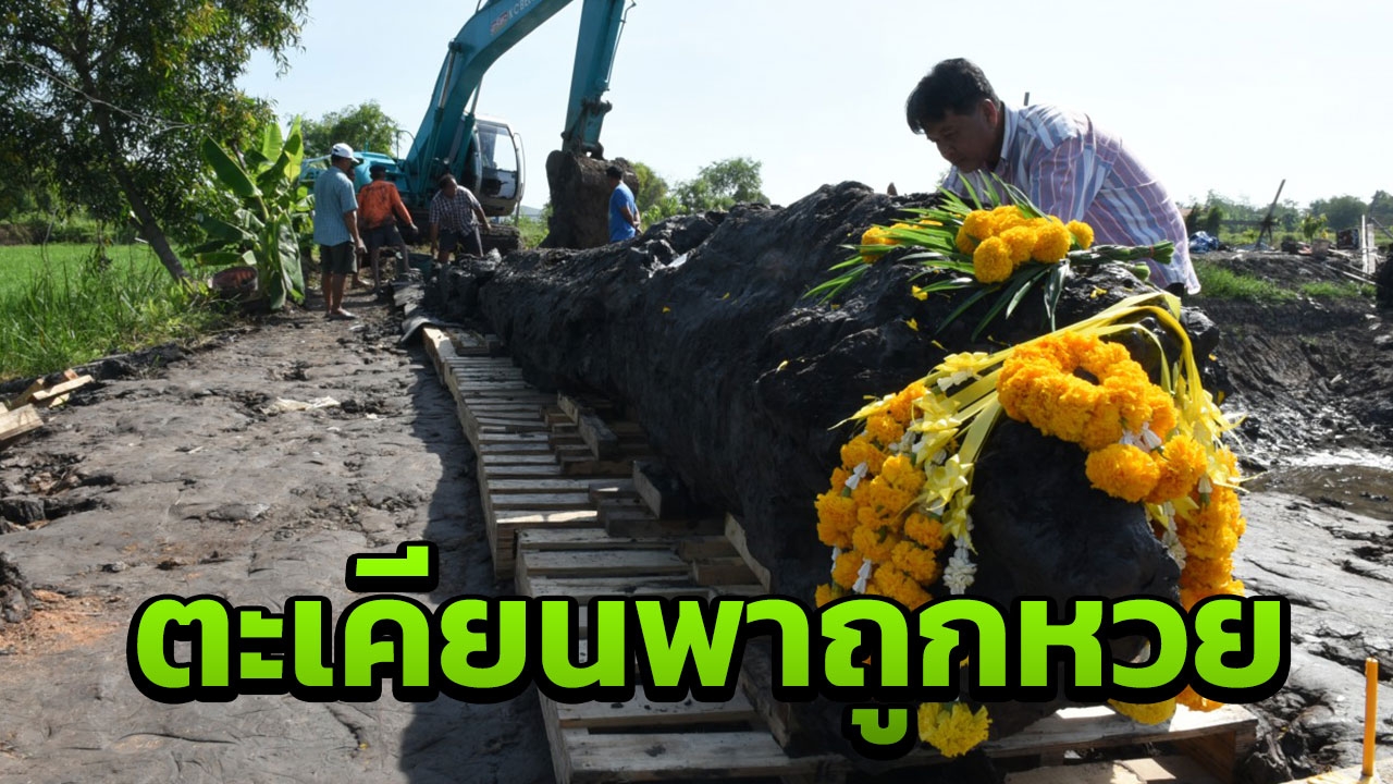 ขอบคุณ ตะเคียนอายุ 962 ปี ในบ่อปลาคลองห้า พาชาวบ้านปทุมธานีถูกหวย