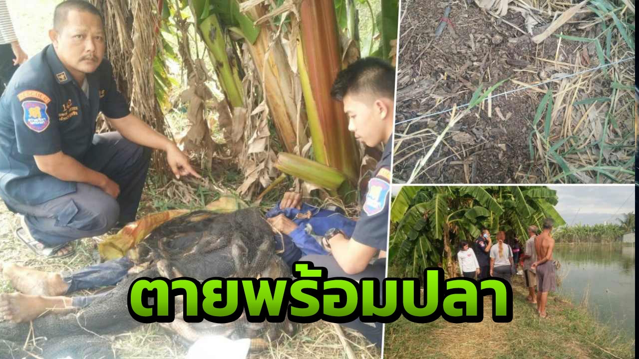 ลงลากอวนในบ่อชาวบ้าน เจ้าของขึงลวดดัก ช็อตดับพร้อมปลาดุก 