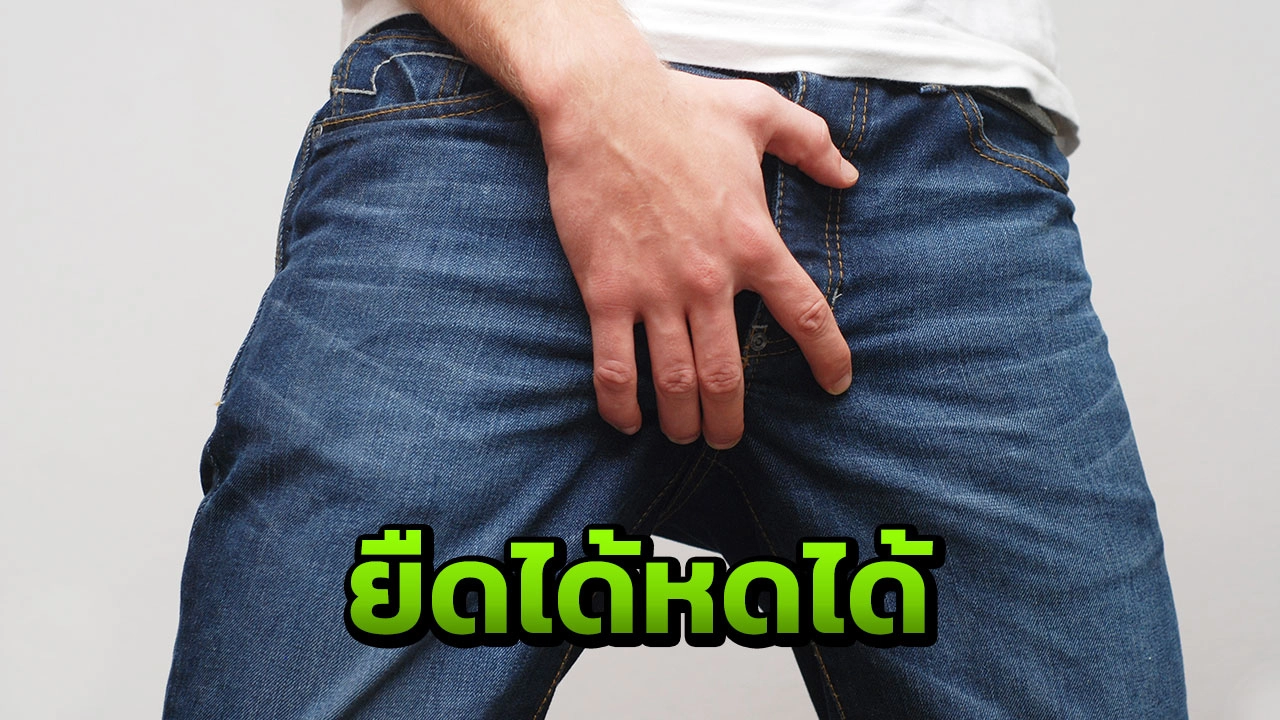 หนุ่มสุดสงสัยทำไม 