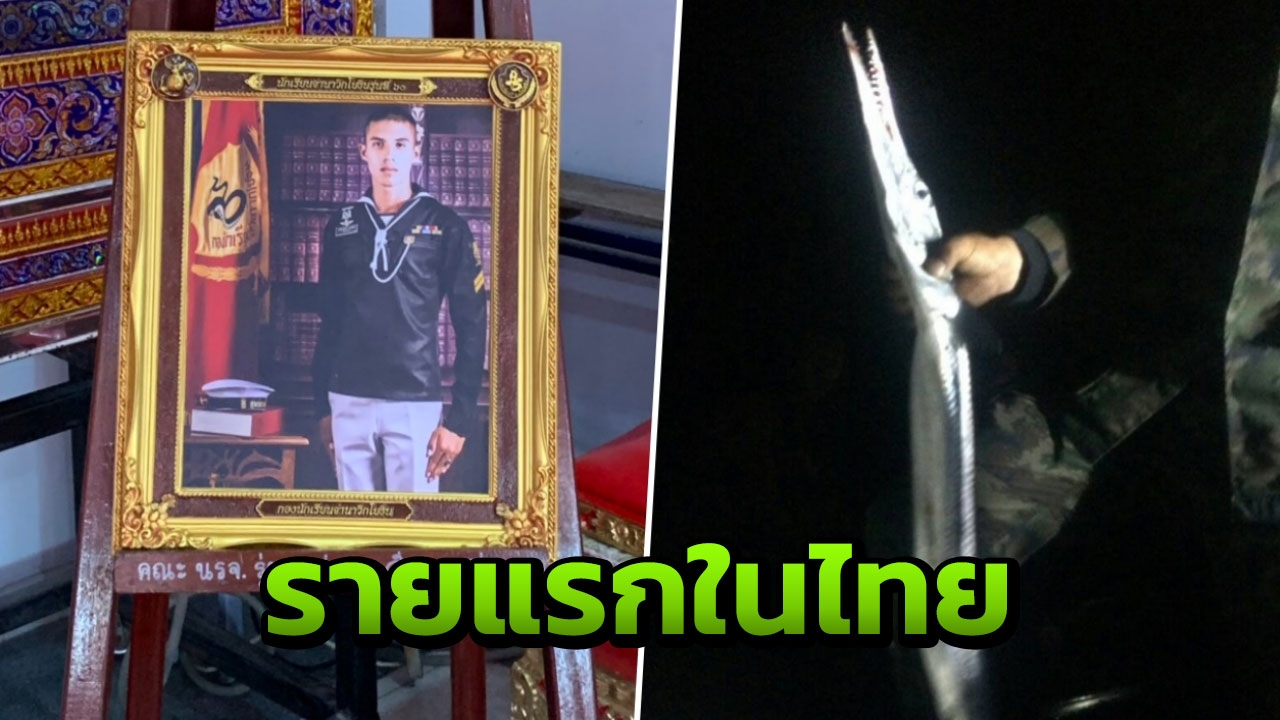 อ.ธรณ์ เผยทหารเรือถูก "ปลาเต็กเล้ง" แทงคอเสียชีวิตเพิ่งเกิดรายแรกในไทย