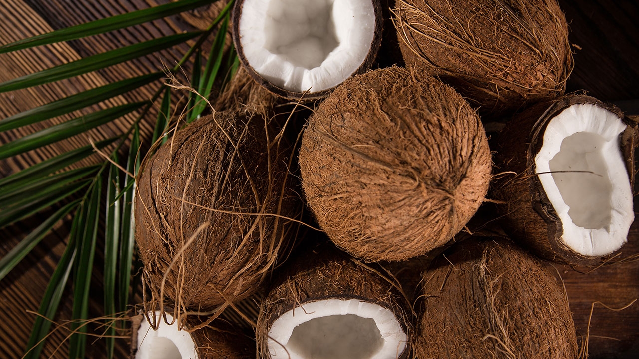 พาณิชย์รับห้ามนำเข้าชั่วคราว แก้ปัญหาราคามะพร้าวตกต่ำ!