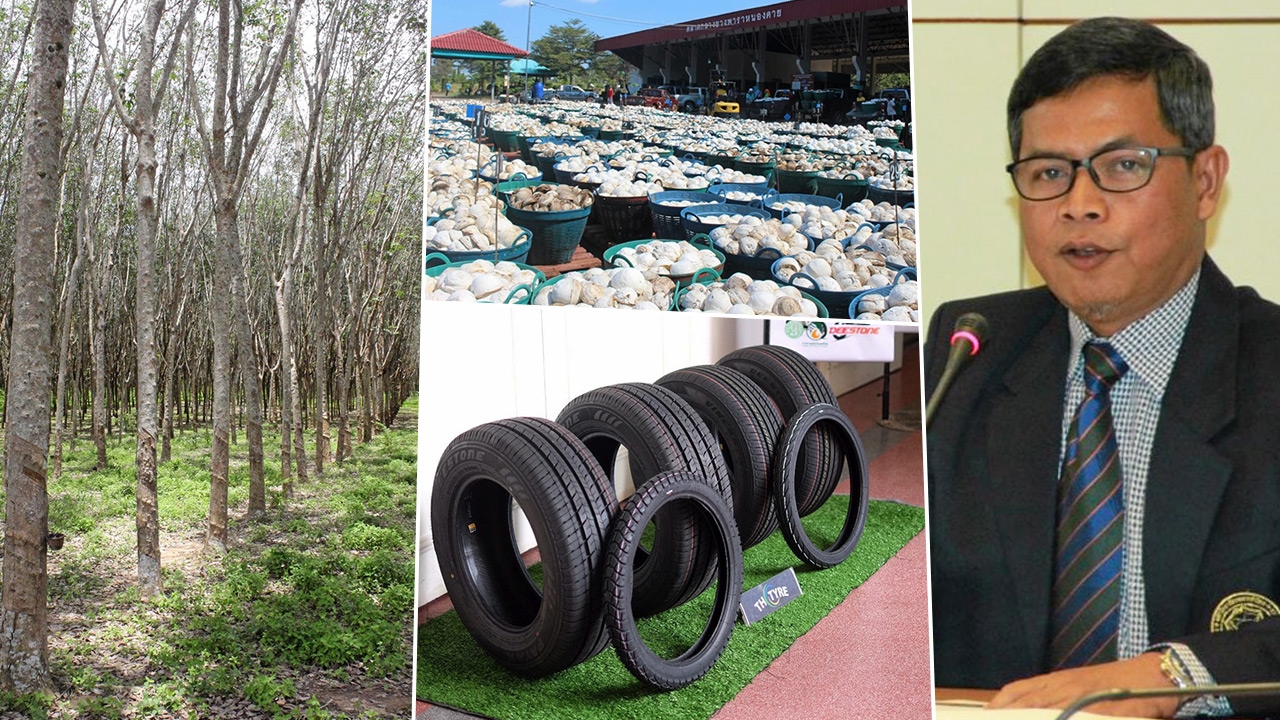 ยุทธศาสตร์ยาง 20 ปี ตั้ง 2 กองทุนอุ้มชาวสวน