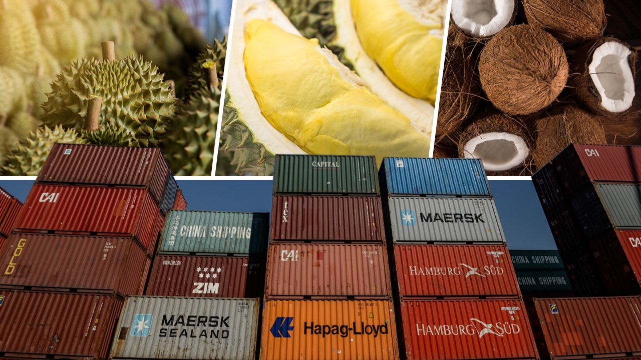 สินค้าอินทรีย์ส่งออกทะลัก!