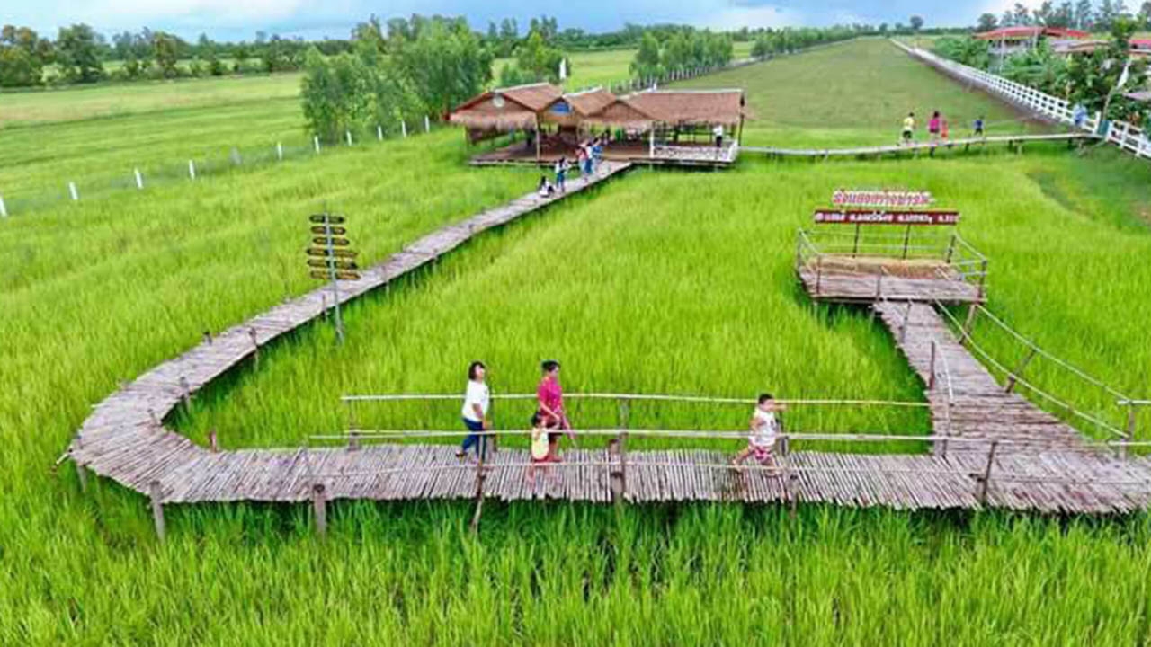 ฝันลูกชาวนา “เที่ยวเชิงเกษตรฟาร์ม”