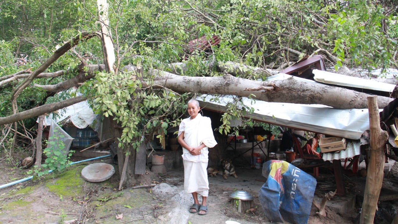 ฝนถล่มทำต้นไม้อายุกว่า 100 ปีหักโค่นทับกุฏิแม่ชี สำนักสงฆ์นาแคพังยับ