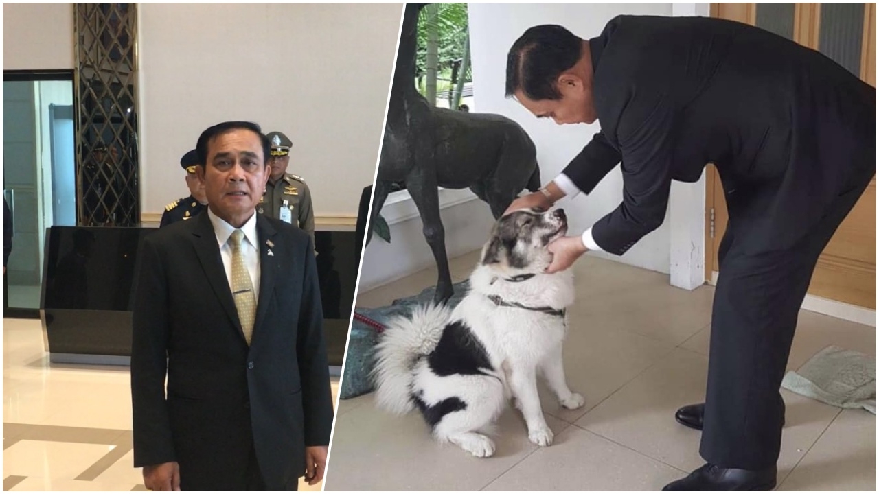 ลุงตู่ อ้อน 'คิดถึงทุกคน' ย้ำขึ้นทะเบียนหมาแมว ต้องไม่เดือดร้อนประชาชน