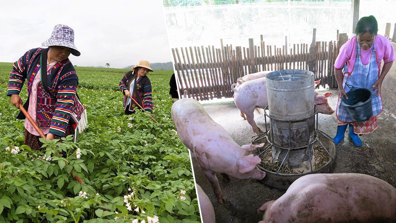 เกษตรพันธสัญญา