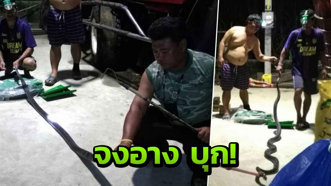 หมาเห่าบอกเจ้าของ จงอางบุกโกดังเสี่ยไร่อ้อย คอหวยตีเป็นเลข!