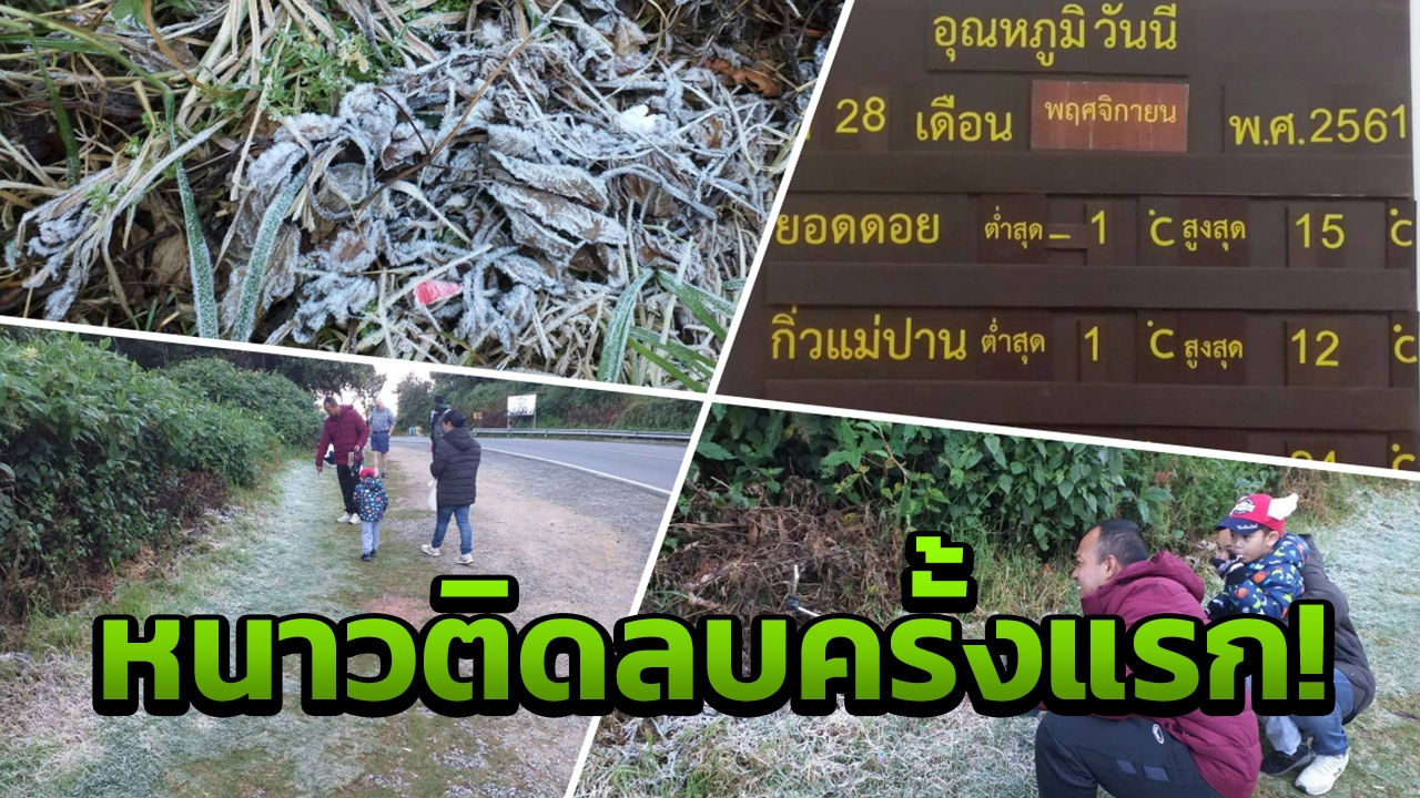 "ดอยอินทนนท์" ยะเยือก ติดลบ 1 องศาฯ แห่ชมทะเลหมอก"เหมยขาบ"โผล่ยอดหญ้า 