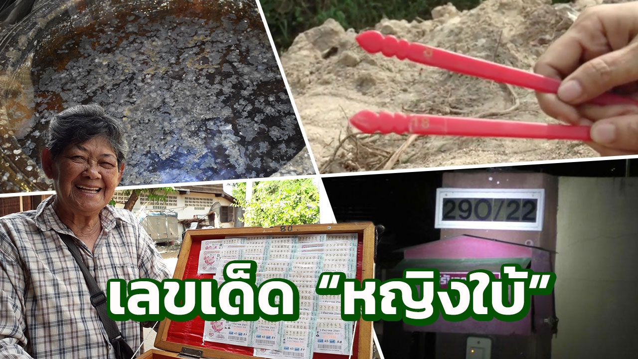 "หญิงใบ้" จัดหนัก! "เลขเด็ด" "หวยดัง" ทั่วไทย ตรงไหนแม่น รวมไว้ที่นี่!