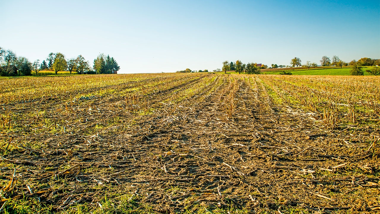 ที่ดินทองคำ