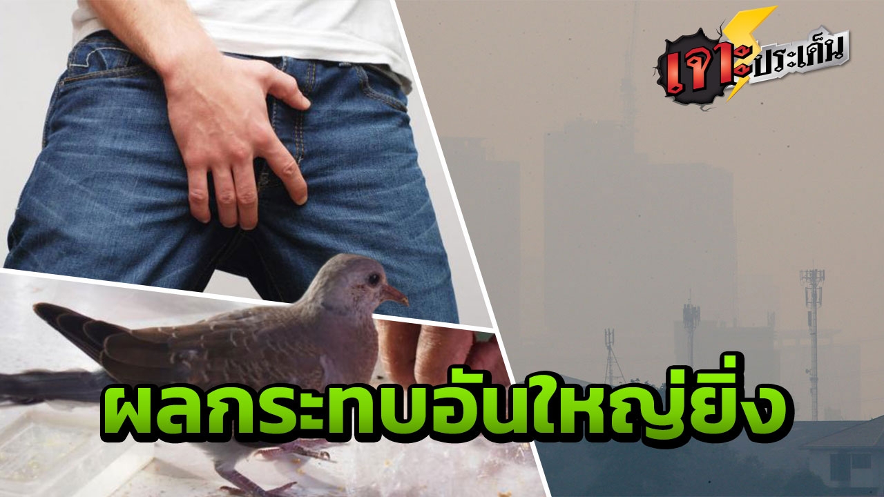 แพทย์ไขข้อข้องใจ หนุ่มเมืองกรุงสูดดมฝุ่นมาก มีผลต่ออวัยวะเพศ