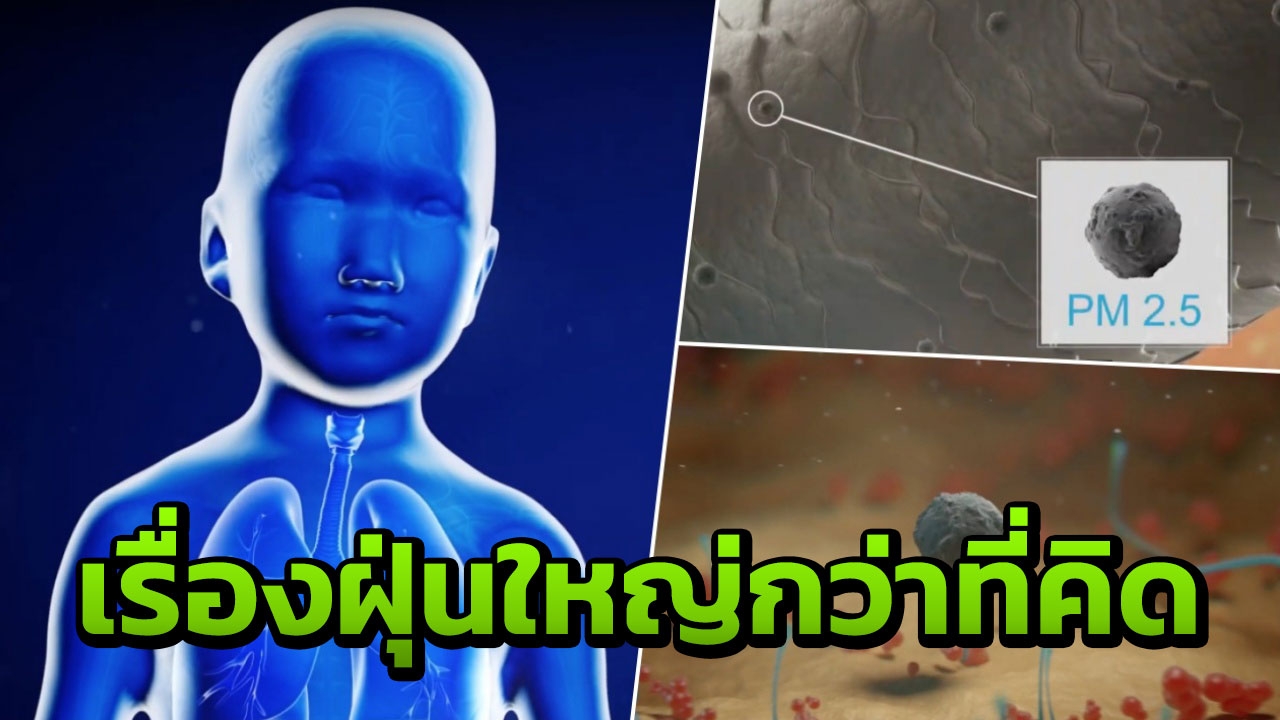 ยูนิเซฟ เปิดความน่ากลัวของฝุ่นควัน PM2.5 ส่งผลกระทบเด็ก ทารกในครรภ์