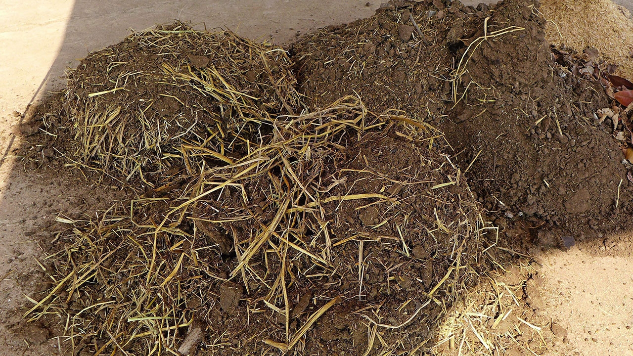 ลดราคาปุ๋ย 50 บาทต่อกระสอบ ผู้ผลิตอุ้มเกษตรกรกดต้นทุนลุ้นตีตั๋วยาวถึง ส.ค.นี้