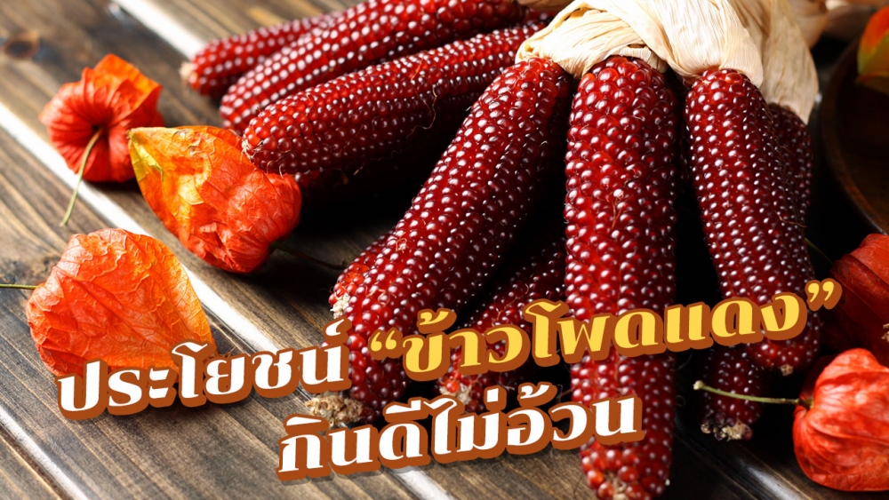 5 ประโยชน์ข้าวโพดแดง "ทับทิมสยาม" ผู้หญิงกินแล้วไม่แก่!