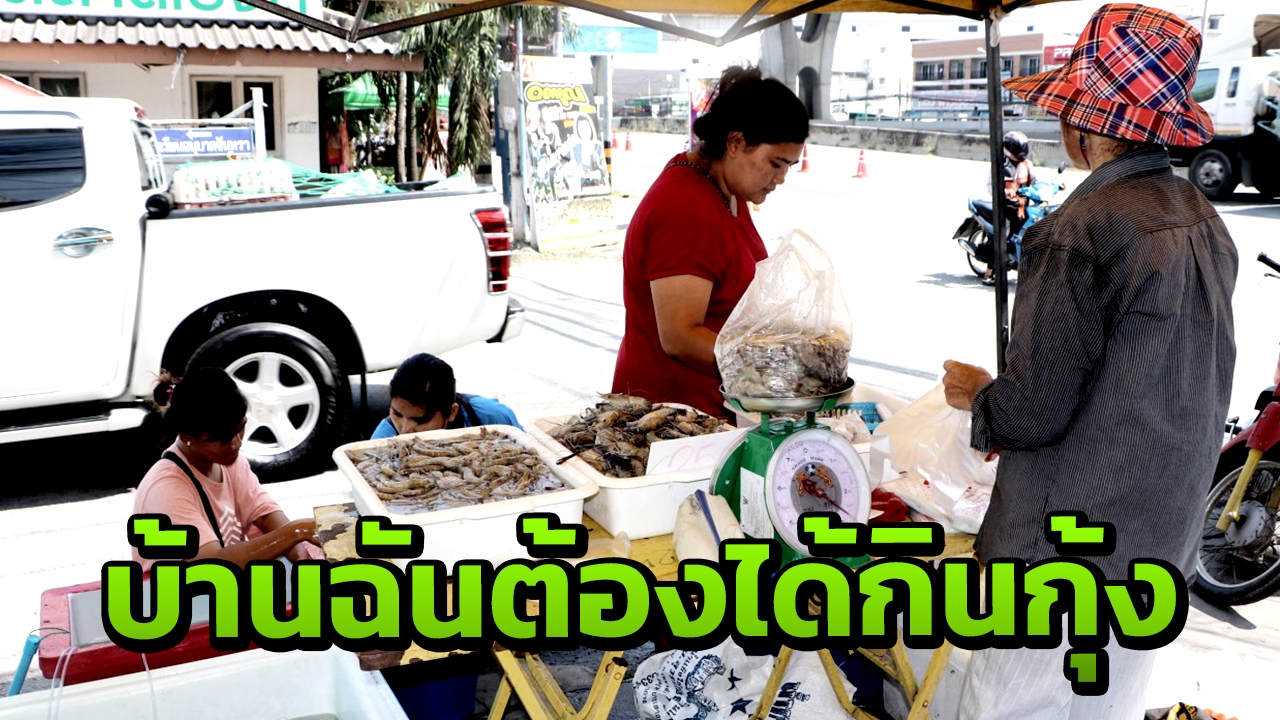 แห่ซื้อ "กุ้งก้ามกราม" ของดีที่บางปะกง ราคาแค่หลักร้อย สดจากแพทุกชม.