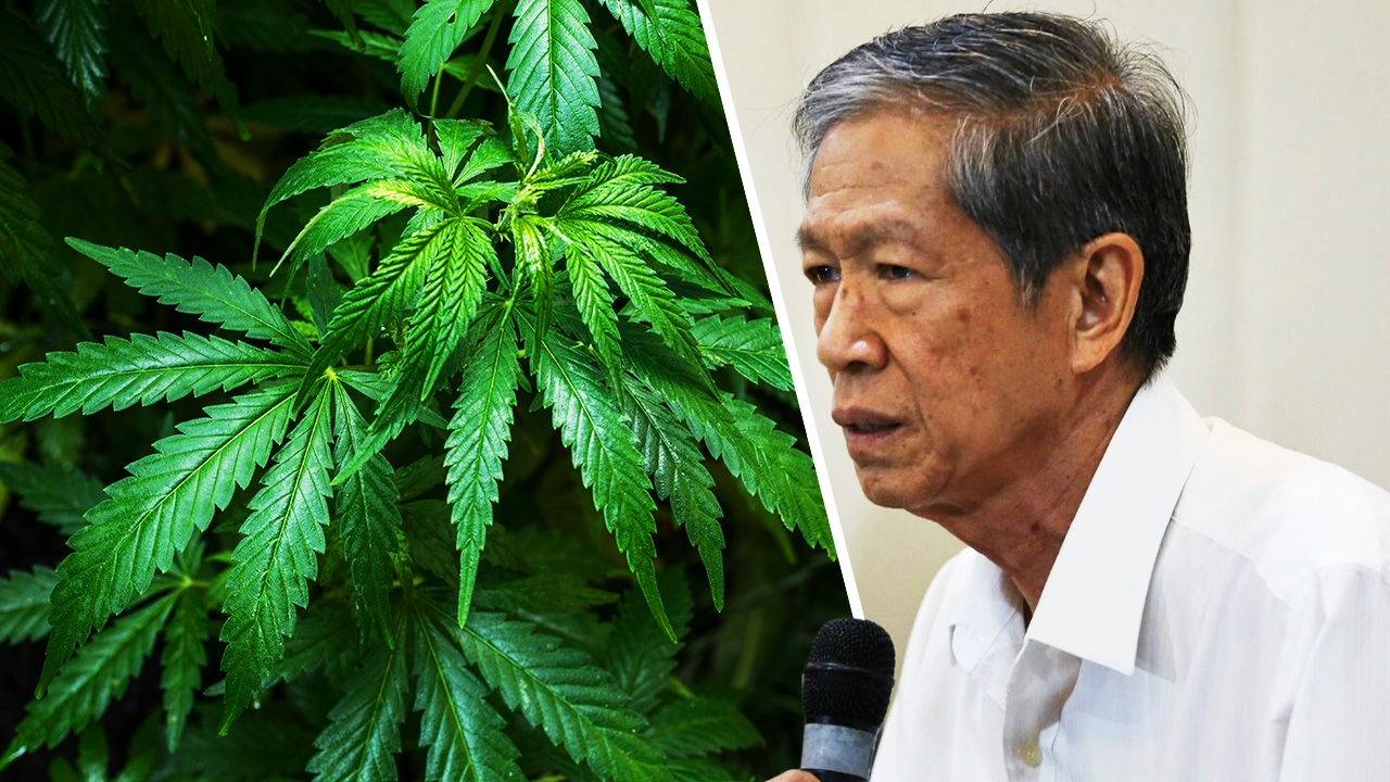 ประธานมูลนิธิข้าวขวัญถก ปปส. ถอด "กัญชา" พ้นยาเสพติด
