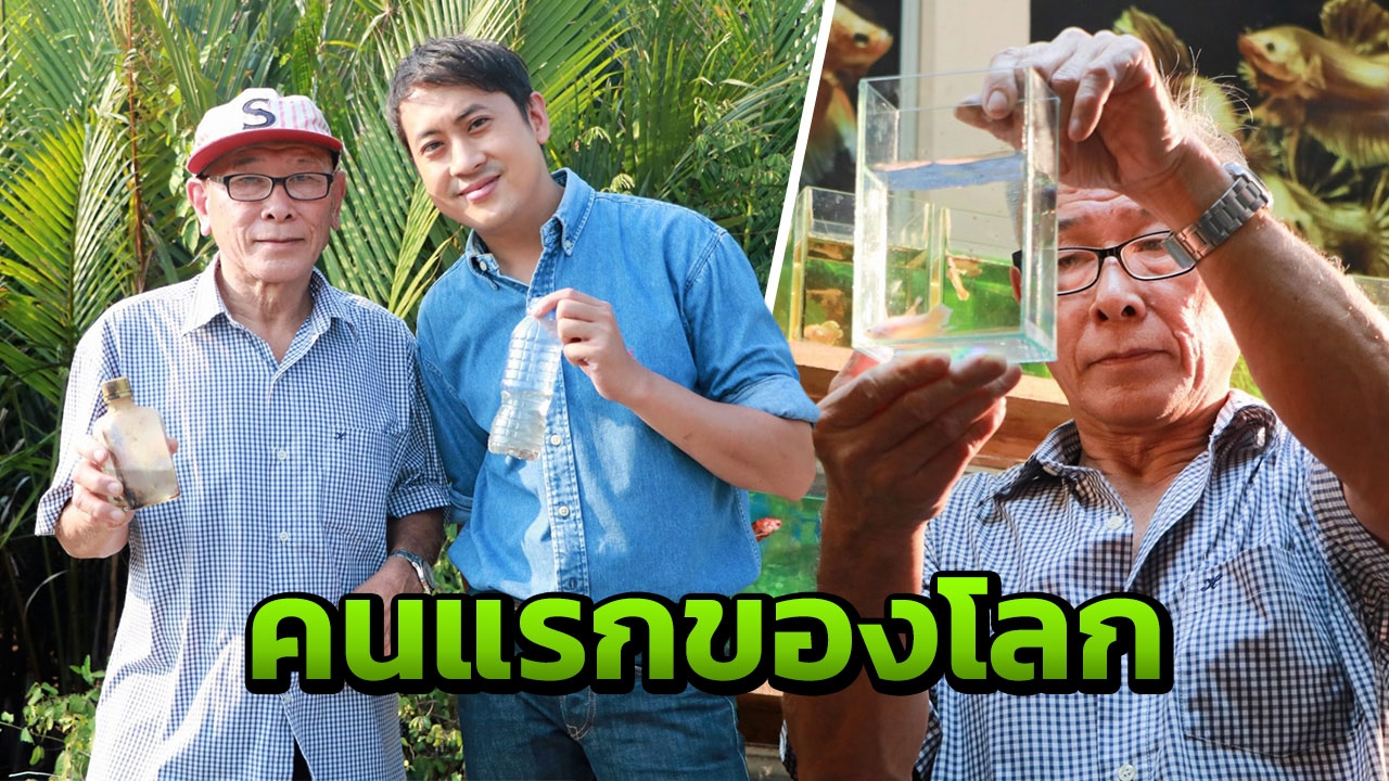 “เปอร์” ทึ่ง “ลุงอ๋า” นักสร้างสรรค์ปลากัดสีทองคนแรกของโลก