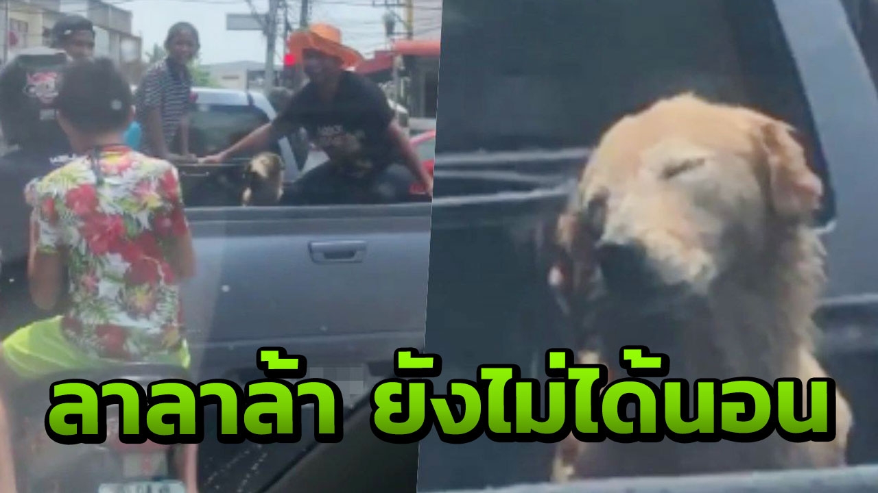 ยังไม่ได้นอน น้องหมานั่งท้ายกระบะเล่นสงกรานต์ โดนสาดหลับเฉยเลย (คลิป)