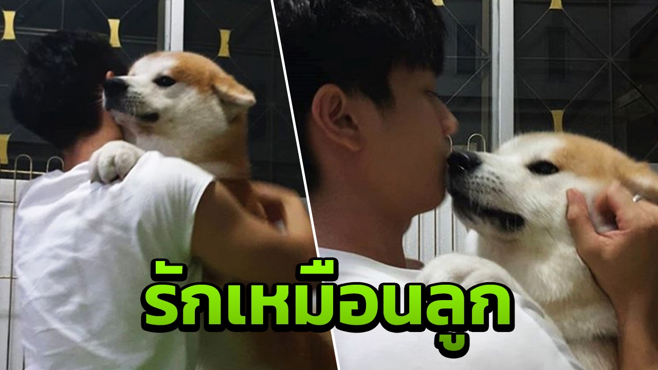 อยู่กับน้องหมาดีกว่า เกรท บอกชัดจีบได้  