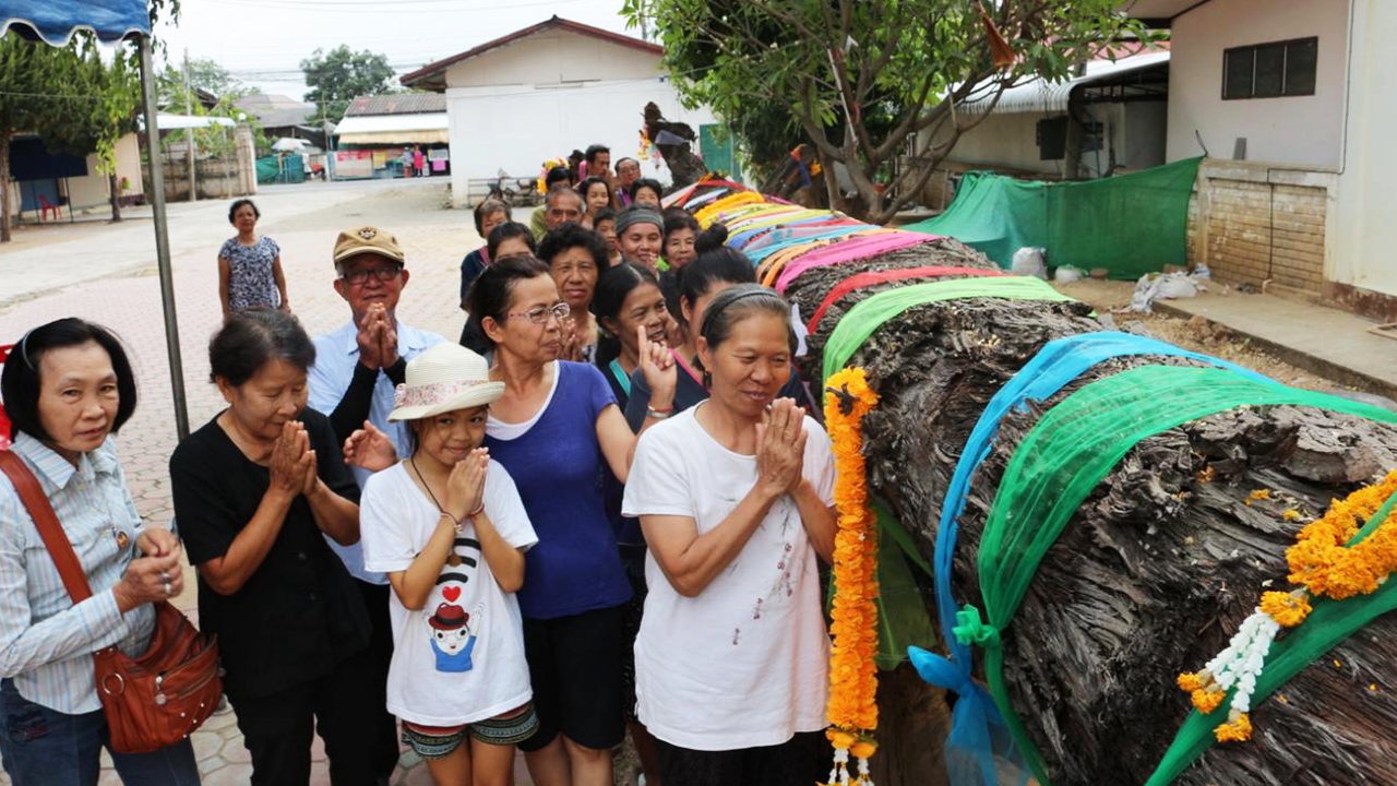 ตะเคียนแฝด องค์หน่อแก้ว-องค์หน่อคำ เข้าฝันอย่าโรยแป้ง คนยิ้มรับโชคถูกหวย