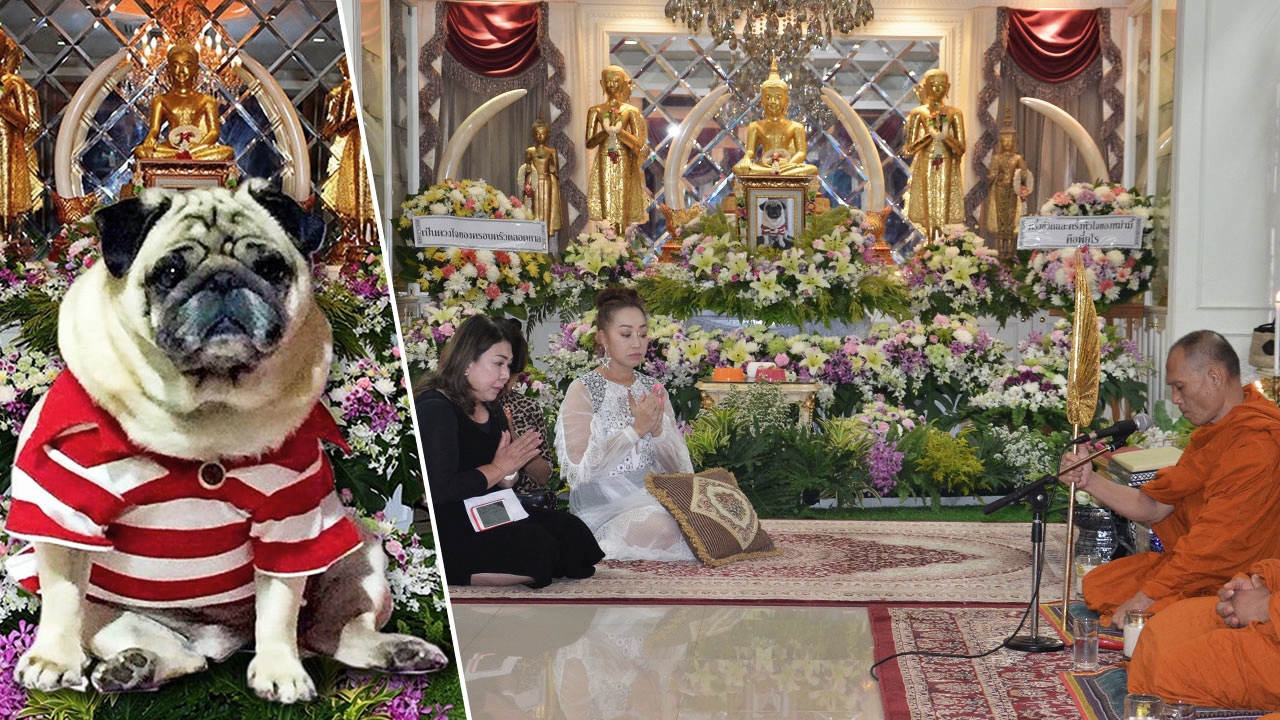งานศพสุนัขสุดหรู เศรษฐีเมืองกาญจน์จัดให้หมารัก มอบอีก 5.1 ล้านทำบุญ
