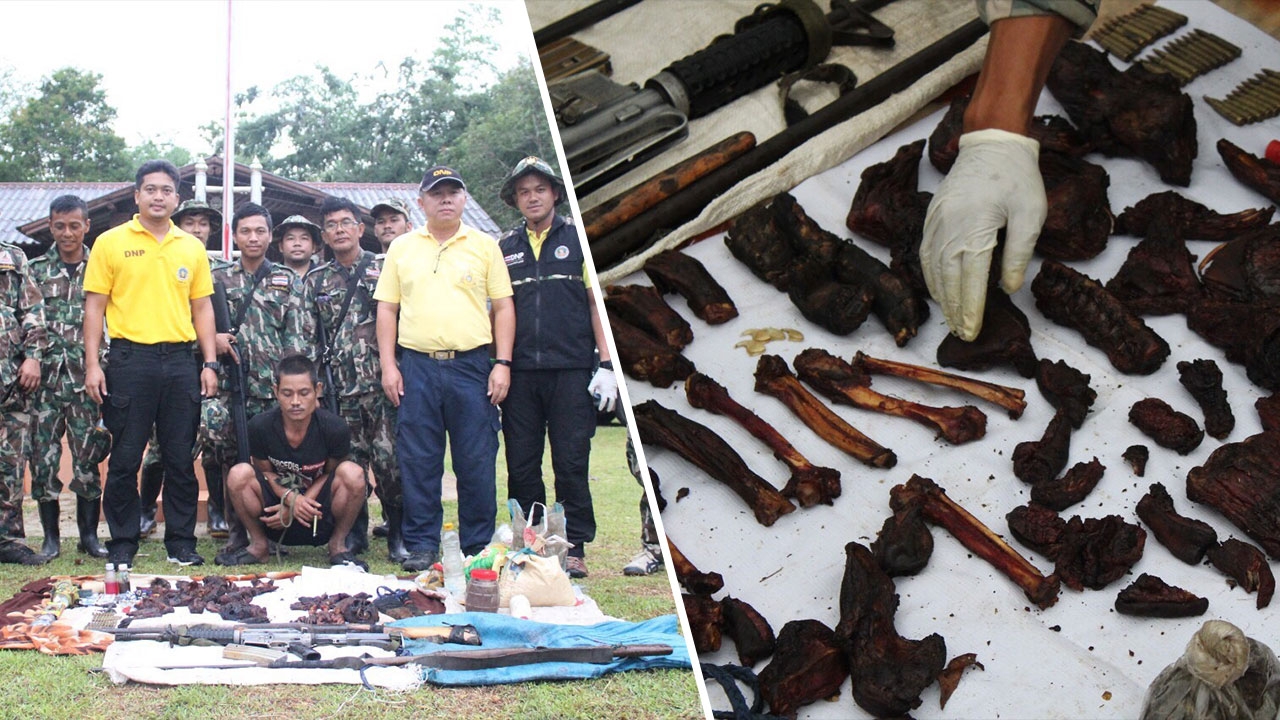 จนท.อุทยานจับพรานกะเหรี่ยง ขนเอ็ม16 ล่าหมีขอ-ลิงกังในป่าไทรโยค